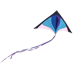 Kite PNG-71140